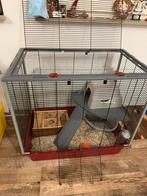 Rattenkooi, Kooi, Gebruikt, Ophalen of Verzenden, Hamster