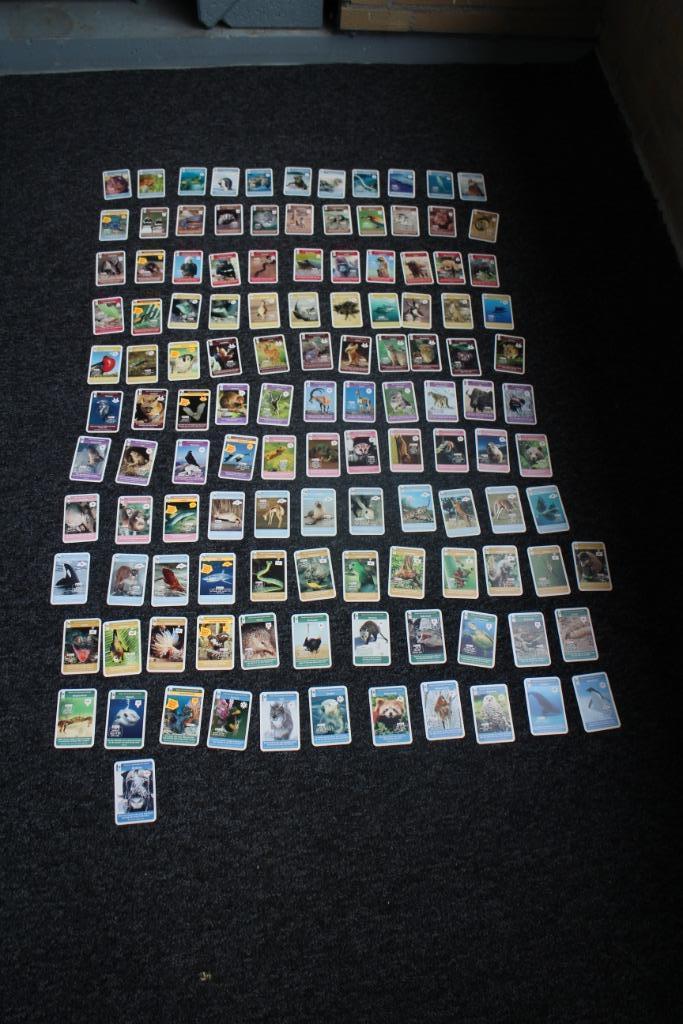 COMPLETE SET SUPER DIEREN PLAATJES/KAARTJES, Verzamelen, Supermarktacties, Albert Heijn, Ophalen of Verzenden