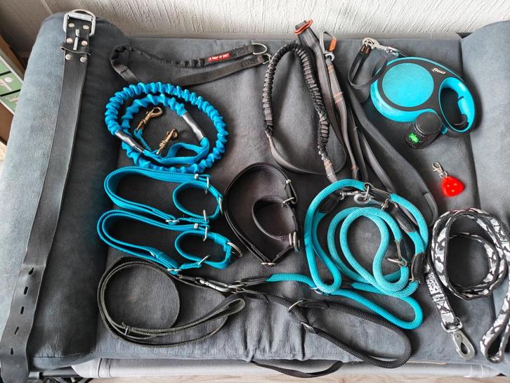 Hondenriemen en lijnen, Dieren en Toebehoren, Hondenriemen, Zo goed als nieuw, Hondenriem, Ophalen of Verzenden