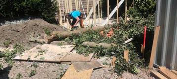 Gratis hout in WOERDEN