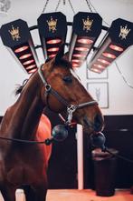 MK Infrarood Paarden Solarium - €1.595,- excl BTW, Ophalen, Nieuw