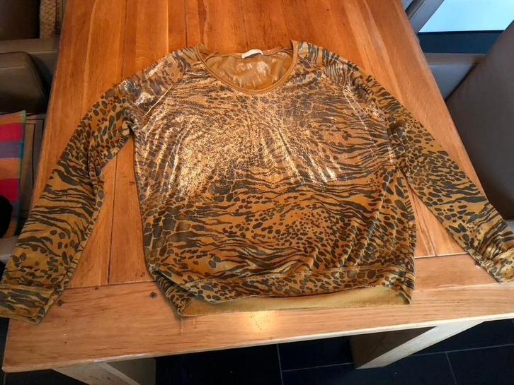 Okergeel/bruine Triple Nine top, maat XL, Kleding | Dames, Tops, Zo goed als nieuw, Maat 46/48 (XL) of groter, Geel, Lange mouw