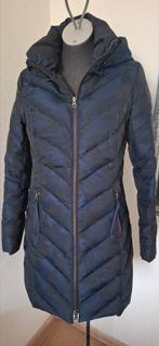 Cavallaro Napoli jas winterjas blauw donsjas parka maat s 36, Kleding | Dames, Jassen | Winter, Blauw, Cavallaro, Ophalen of Verzenden