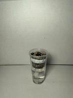 Alocasia Yucatan princess corm (5), Ophalen of Verzenden, Halfschaduw, Minder dan 100 cm