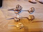 mooie Murex Haustellum schelpen 1,50 per stuk, Ophalen of Verzenden, Schelp(en)