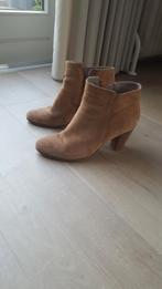 enkellaarsjes Cellini maat 41, Kleding | Dames, Bruin, Ophalen of Verzenden, Zo goed als nieuw, Lage of Enkellaarzen