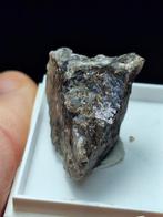ZELDZAAM NATRONAMBULIET, JAPAN (=TL), Verzamelen, Mineralen en Fossielen, Ophalen of Verzenden, Mineraal