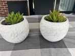 2x bloempot ompot huiskamerplanten  wit 20 cm rond en 17 H, Rond, Binnen, Ophalen of Verzenden, Zo goed als nieuw