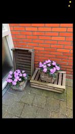 Oude Aardappelkistjes, Ophalen, Zo goed als nieuw, 50 tot 100 cm, Minder dan 50 cm