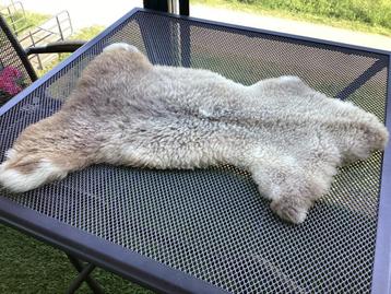 Schapenvacht Kleur: bruin/beige in nieuwstaat  beschikbaar voor biedingen
