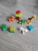 Duplo 10838 Dieren Set, Ophalen of Verzenden, Gebruikt, Complete set, Duplo