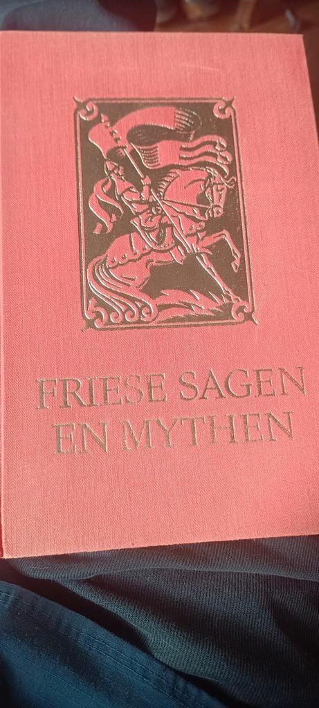 Friese Sagen en Mythen, Boeken, Sprookjes en Fabels, Zo goed als nieuw, Ophalen of Verzenden