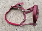 halster maat full, Dieren en Toebehoren, Ophalen of Verzenden, Zo goed als nieuw, Overige soorten