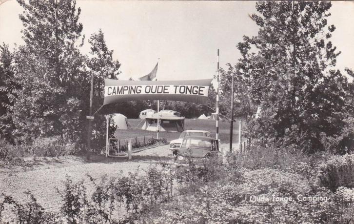 17233 Camping Oude Tonge  Limburg 1983, Verzamelen, Ansichtkaarten | Nederland, Gelopen, Limburg, 1980 tot heden, Verzenden