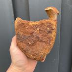 Mammoet wervel fossiel noordzee, Verzamelen, Mineralen en Fossielen, Ophalen of Verzenden, Fossiel