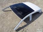 RENAULT MEGANE PANORAMADAK PANORAMA DAK ALLES LEVERBAAR !!!, Auto-onderdelen, Ophalen of Verzenden, Gebruikt, Renault, Spatbord