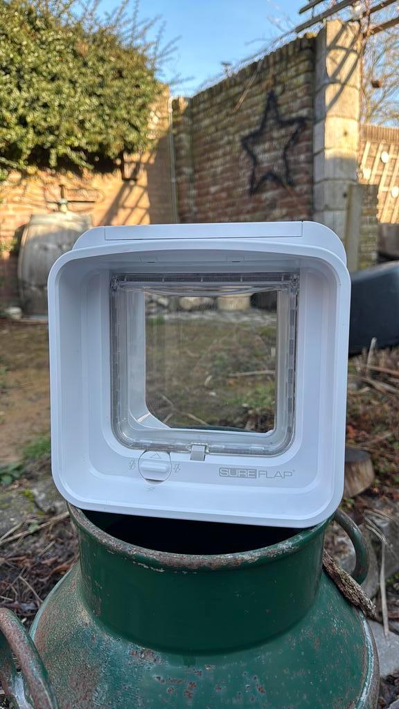 Sureflap dual kattenluikje, Dieren en Toebehoren, Katten-accessoires, Zo goed als nieuw, Ophalen
