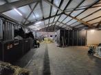 Pensionstal te huur, Dieren en Toebehoren, Stalling en Weidegang, Weidegang, 1 paard of pony