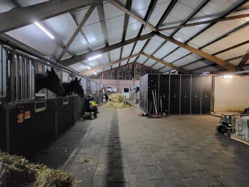 Pensionstal te huur, Dieren en Toebehoren, Stalling en Weidegang, Stalling, Weidegang, 1 paard of pony
