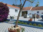 Prachtige gerenoveerde  boerderij in Portugal, Huizen en Kamers, Buitenland, Overige soorten, 338 m², Portugal, Verkoop zonder makelaar