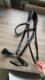 Nalanta hoofdstel full + teugels, Dieren en Toebehoren, Ophalen of Verzenden, Zo goed als nieuw, Recreatie