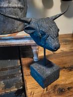 Schotse hooglanders, Ophalen of Verzenden