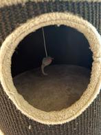 Krabton, Dieren en Toebehoren, Ophalen, Krabton