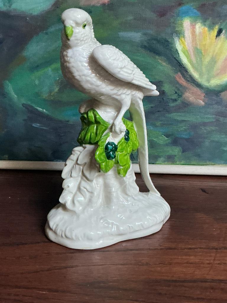 Fraaie parkiet, Ophalen of Verzenden