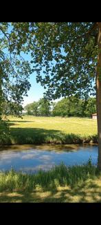 Pensionstal, Dieren en Toebehoren, Stalling en Weidegang