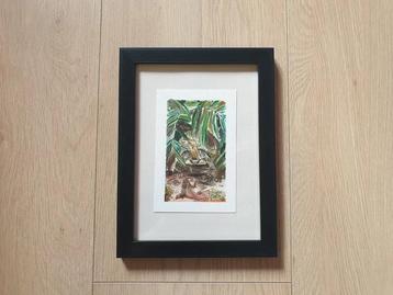 Originele aquarel schildpad ingelijst kunstwerk 13x18 cm

 beschikbaar voor biedingen