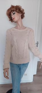 Mooie gebreide Dante 6 trui mt S, Beige, Ophalen of Verzenden, Zo goed als nieuw, Maat 38/40 (M)