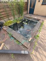 Vijver met koi en andere vissen, Tuin en Terras, Vijvers, Ophalen, Zo goed als nieuw