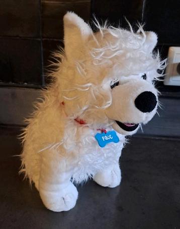 Rutger en Thomas knuffel Paco beschikbaar voor biedingen