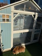 Voliere te koop, Meerdere dieren, Bastaard