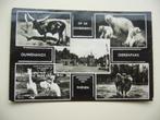 RHENEN >  5 LUIK VAN OUWEHANDS DIERENPARK, Verzamelen, Ansichtkaarten | Nederland, Verzenden, 1940 tot 1960, Gelopen, Utrecht