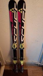 Fischer Race Jr. Ski's, Ophalen, 140 tot 160 cm, Carve, Skiën