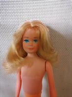 Vintage barbie poppen growing up skipper, Ophalen of Verzenden, Zo goed als nieuw, Fashion Doll
