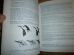 de vogels van vlieland KNNV veel info en afb 1968, Ophalen of Verzenden, Gelezen, Vogels