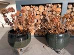 2 Grote Donkergroene Buiten Bloempotten, Tuin en Terras, Bloempotten, Balkon, Rond, Zo goed als nieuw, Minder dan 40 cm
