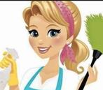 Schoonmaakster gezocht Bleiswijk, Overige niveaus, Starter, Overige vormen