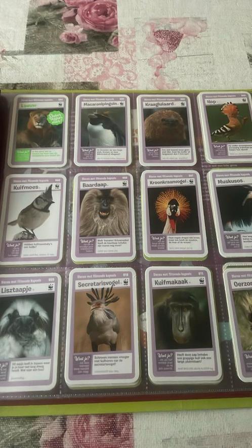 Mist u een kaart uit ah de lolbroeken dierenrijk lees info, Verzamelen, Supermarktacties, Albert Heijn, Ophalen of Verzenden