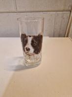 GLAS BORDER COLLIE, Ophalen of Verzenden