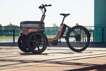 VanRaam Thuja (NIEUW) driewielfiets nu in Amsterdam beschikbaar voor biedingen