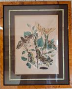 Kopergravure uit 1867, Antiek en Kunst, Kunst | Etsen en Gravures, Verzenden