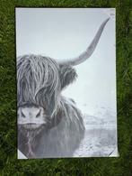 Canvas bizon / koe NIEUW, Minder dan 50 cm, Nieuw, Ophalen of Verzenden
