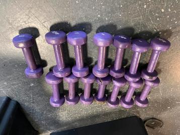 14 x 1 kg rubberen dumbells paars beschikbaar voor biedingen