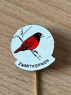 Vogels / Zwarte Kopnon, Ophalen of Verzenden, Zo goed als nieuw, Overige onderwerpen