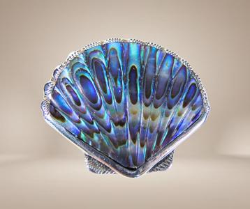 Prachtige midcentury zilveren PAUA SHELL schelp broche! beschikbaar voor biedingen