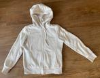 Uniqlo vest met capuchon en teddy voering maat S, Beige, Ophalen of Verzenden, Zo goed als nieuw, Maat 36 (S)