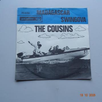 The Cousins - Madagascar beschikbaar voor biedingen
